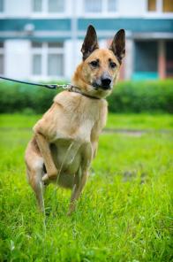 ��������� ������ ����� � ������� ����! (���)