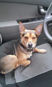 ������� ������