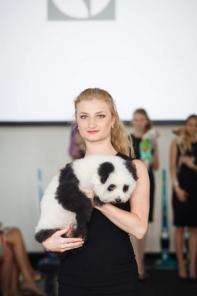 ������� ����� � �����,  ��������, ������-������.