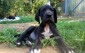 ����� ��������� ����