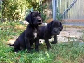 ����� ��������� ����