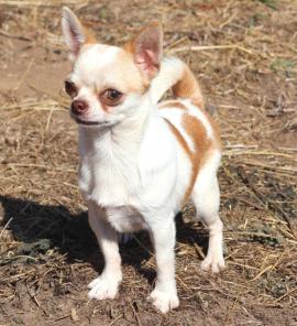 �������� �����