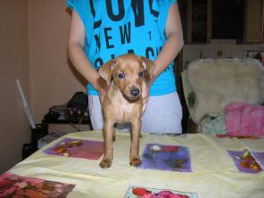 ����� ������������ �� ����-�������� ����