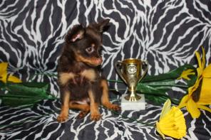 �������� �������������� �������