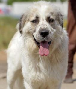 ����! ������� ����� ���������� ������� � ���.