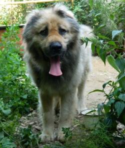 ����� - ������� �������� � ������ ����.