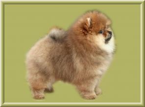 ��������� ������� ������������ �����.