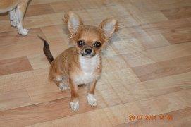 ����� �����-���