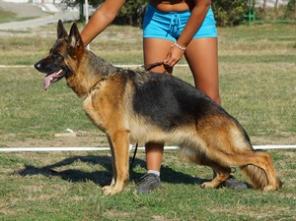 ������� ����� �������� �������