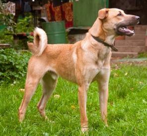 ����� ���������� ����� ��������� � ������ ����!