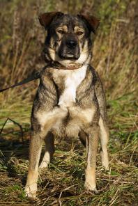 ����� - ����������� �������� ������������ ������ ������