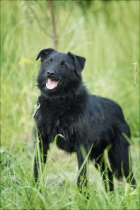 ������� - ���������� ���� �� ������