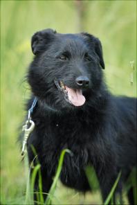 ������� - ���������� ���� �� ������