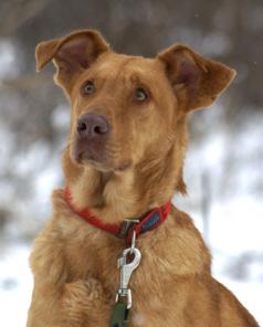 ���� - ����� ���������� ������, ����� �����������