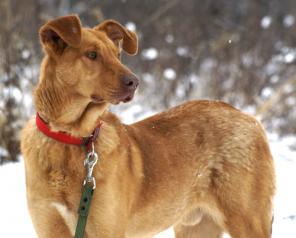 ���� - ����� ���������� ������, ����� �����������