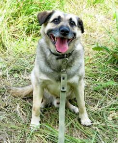 ������ - �������� �������, ��������� �����. ����� ��������