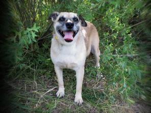 ���� - ����������� � ������� ������������ ������ ������.