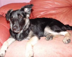 ����� � ��� ����������� �����.