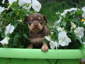 ������ �����, ���-������, ��������: ���������, ������ ������, ���.