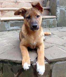 ����� ���� ���� ���!