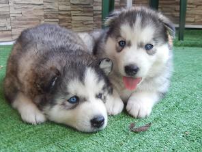 ������ ������ ������ ��������� �����