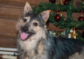 ��������� � ������ ������� � ���.