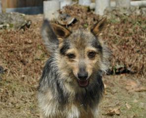 ��������� � ������ ������� � ���.