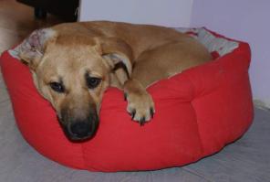 ������ ������ � ������ �����