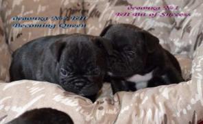 ������������-������������� ������� ��. ��������