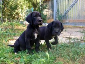 ����� ��������� ����