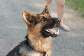 ������ �������� ������� � �������� � ���������� ����