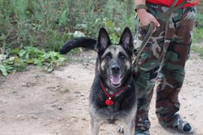 ����  ��������-����������� ������� ����-������� ���