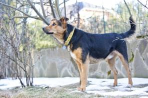 ����� ����� ����� � �������, ���� �� � ��������