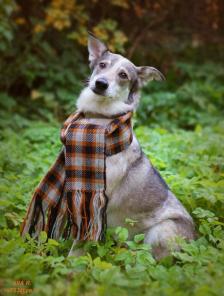 �������� �������� ���� ���!