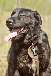 ��������� ������������ ������ � ���