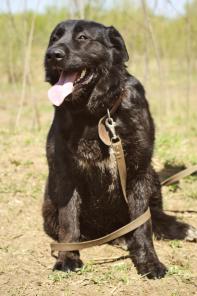 ��������� ������������ ������ � ���