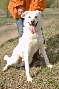 �������� ��� ����� � ������� ���� � �����