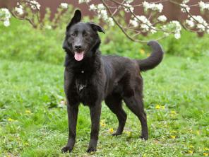 ������� ����������� ������ ����, ����� ������ ���� � ������ ����