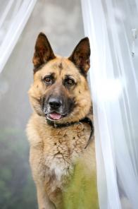 ����� � �������� ����� � ������� �����������. ����� ���� ��������.