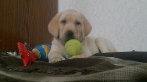 ���� ��� ��������� �����!