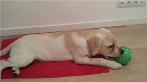 ���� ��� ��������� �����!