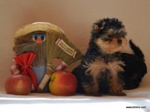 ����� ������������ �������!