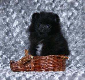 ����������� �����