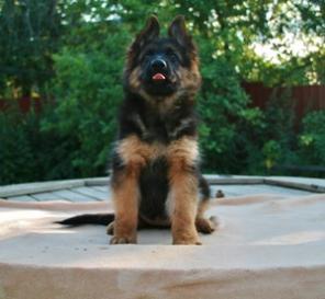 ����� �������������� �������� �������