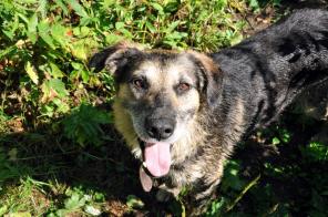 �������� � ������ ���� ���� ����� ���������!