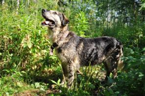 �������� � ������ ���� ���� ����� ���������!