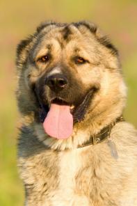 � ��� �������� ���������� ������ (���� � ������)