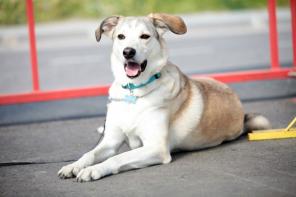 ����� ����� ���� ���� ������ ���