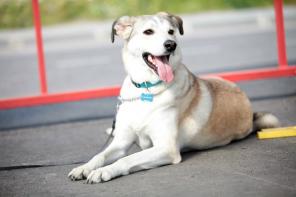 ����� ����� ���� ���� ������ ���