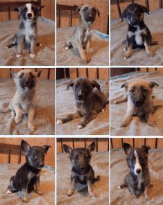 �������������� ����� ������ ���� ���